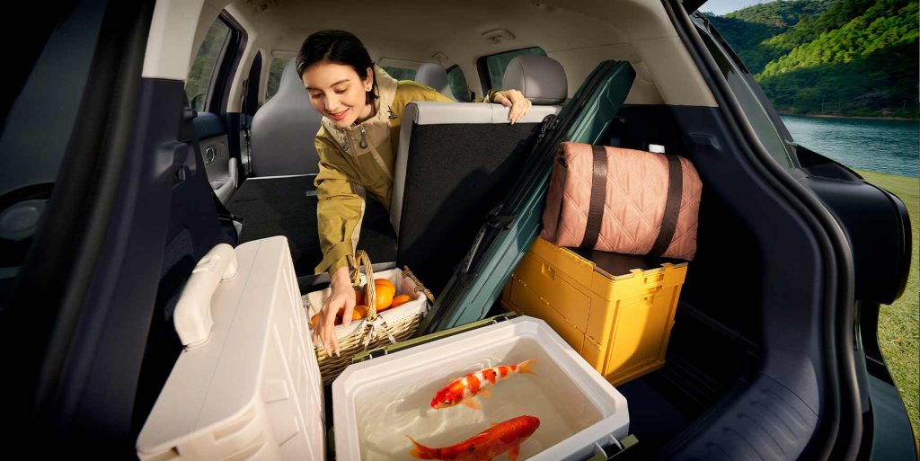 Billig el-SUV på vej til Danmark 2 billig