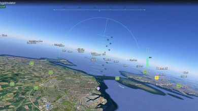 Google har gemt en flysimulator i din browser – og den er gratis 7 Google har gemt en flysimulator i din browser – og den er gratis