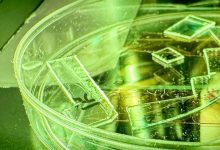Ny plastfilm flår viruspartikler i stykker 2 virus